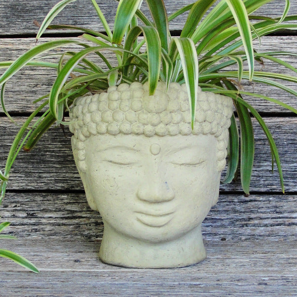 Buddha Head Planter (Small)
