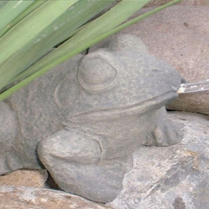 Bullfrog Spitter