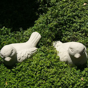 Primitive Wrens (Pair)