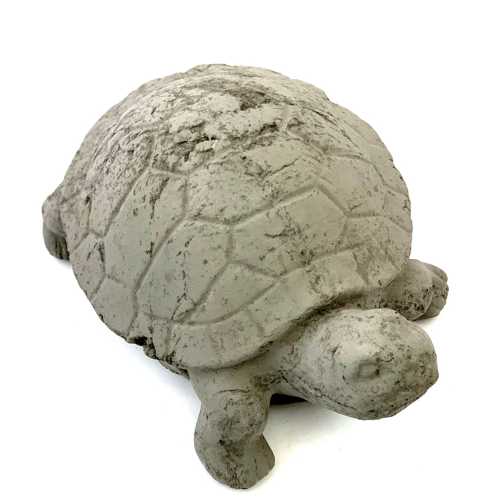 Vintage Desert Tortoise #2