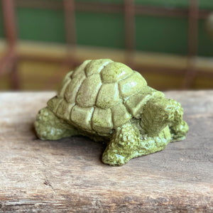 Desert Turtle (Small)