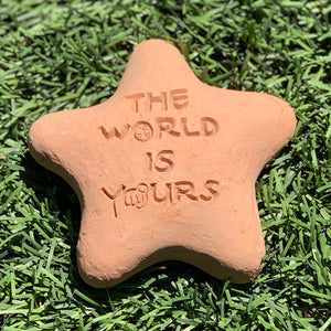 The World Is Yours - Shooting Star Spirit Stone