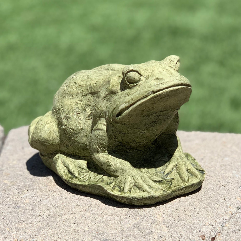 Frog on Lilypad