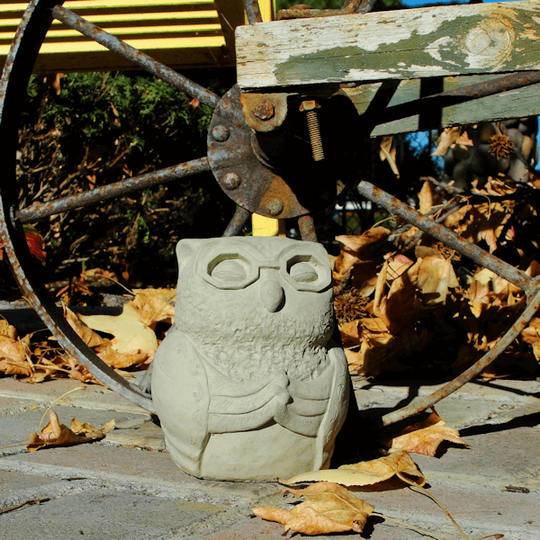 Meditating Owl
