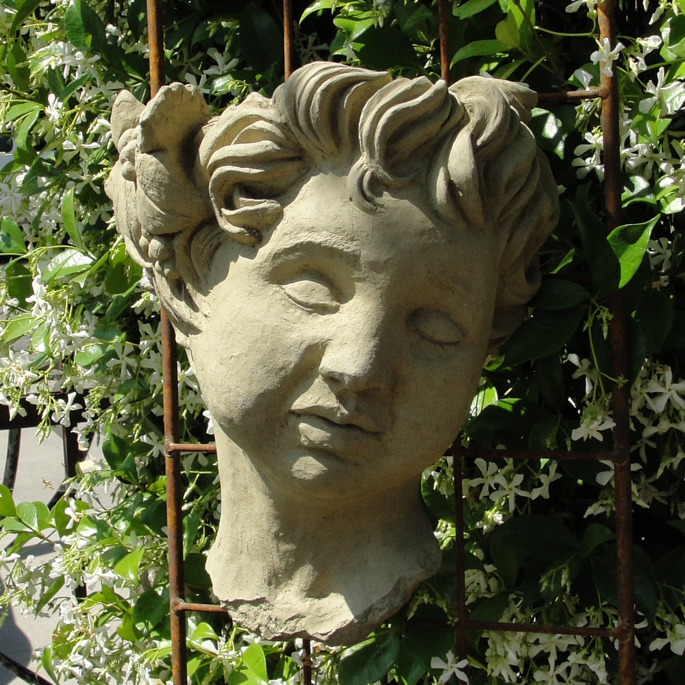 Gargoyle Head Wall Planter