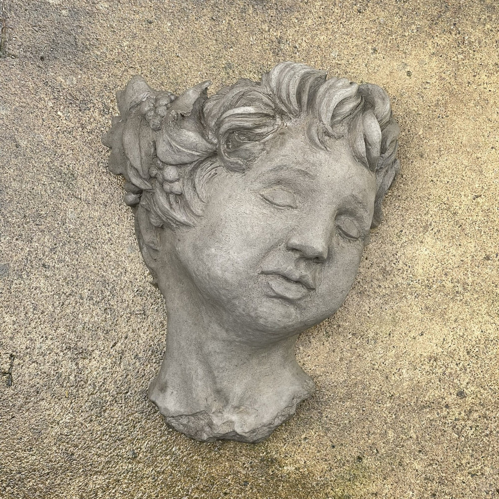 Gargoyle Head Wall Planter