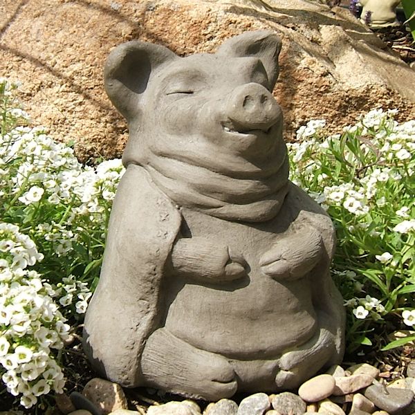 Meditating Pig