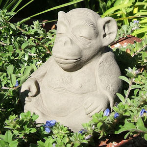 Meditating Monkey