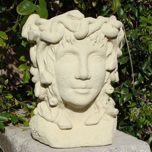 
                
                    Load image into Gallery viewer, Medusa Head Planter
                
            