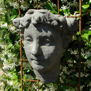 Lady's Head Wall Planter