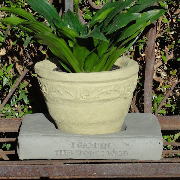 I Garden, Therefore I Weed – Saucer (FP)