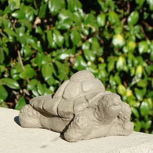 Turtle Pot Feet (Set/3)
