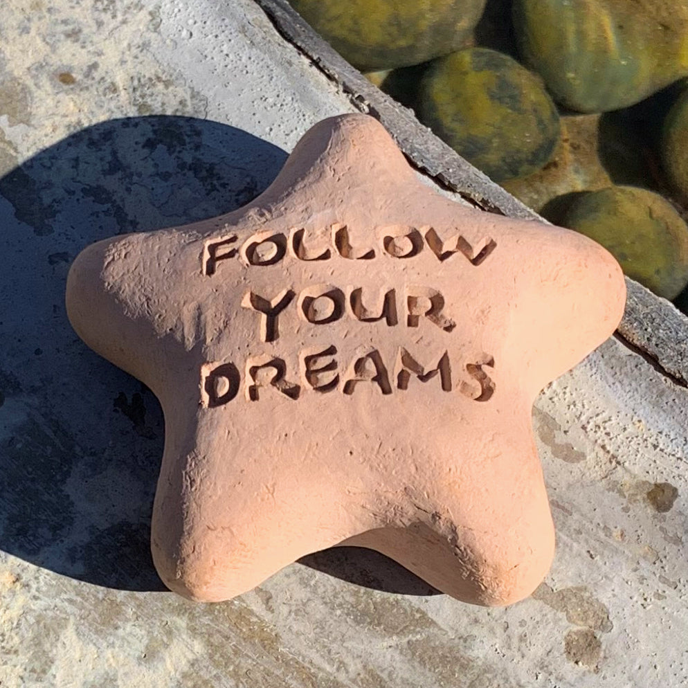 Follow Your Dreams - Shooting Star Spirit Stone