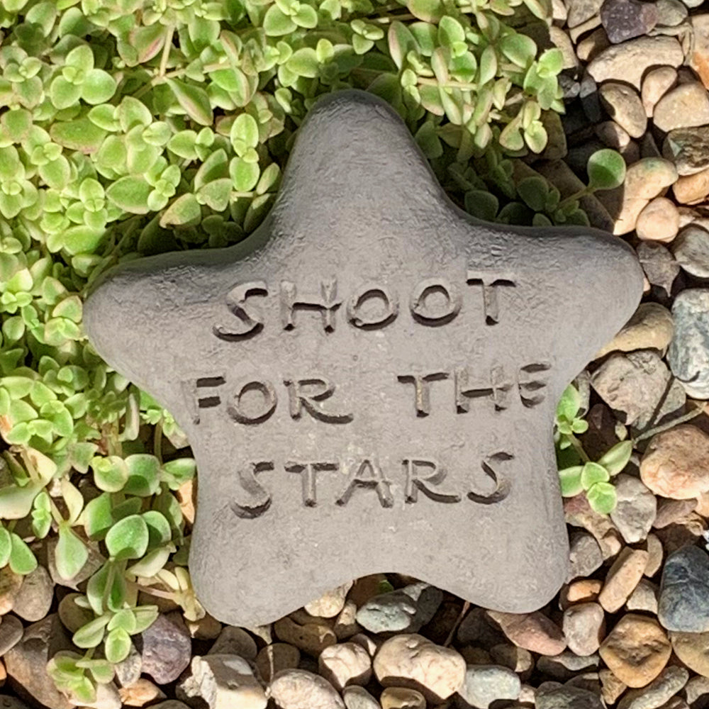 
                
                    Load image into Gallery viewer, Shoot for the Stars - Shooting Star Spirit Stone
                
            
