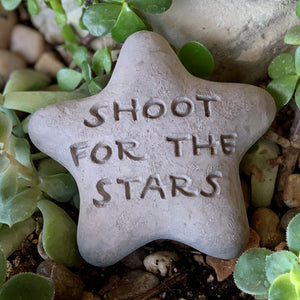
                
                    Load image into Gallery viewer, Shoot for the Stars - Shooting Star Spirit Stone
                
            