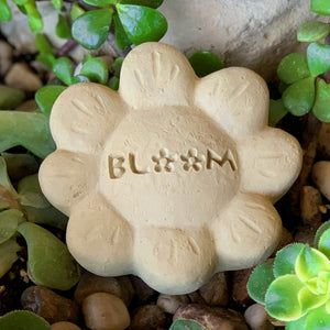 Bloom - Passion Flowers Spirit Stones