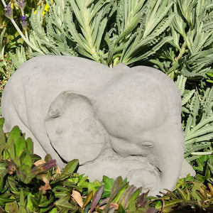 
                
                    Load image into Gallery viewer, Sleeping Elephant #1
                
            