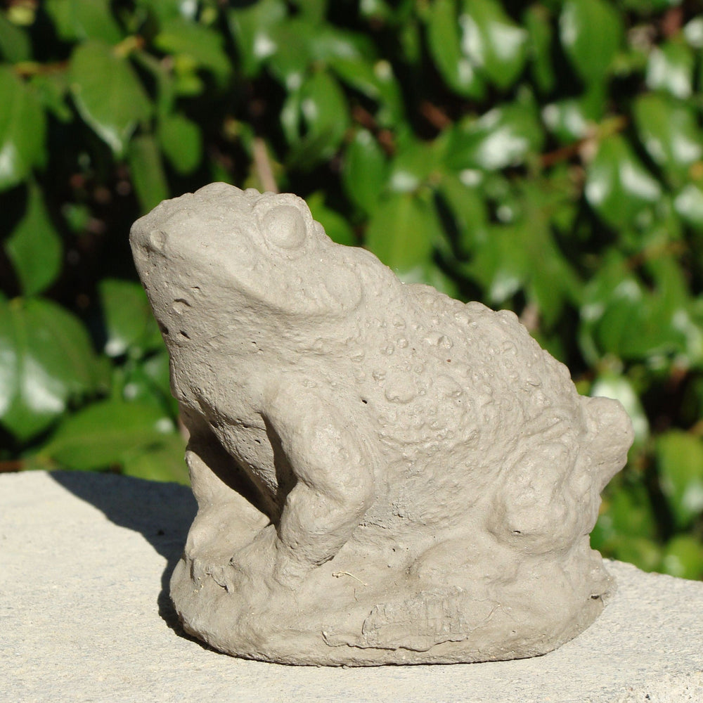 Warty Toad (Small)