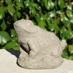 
                
                    Load image into Gallery viewer, Warty Toad (Small)
                
            