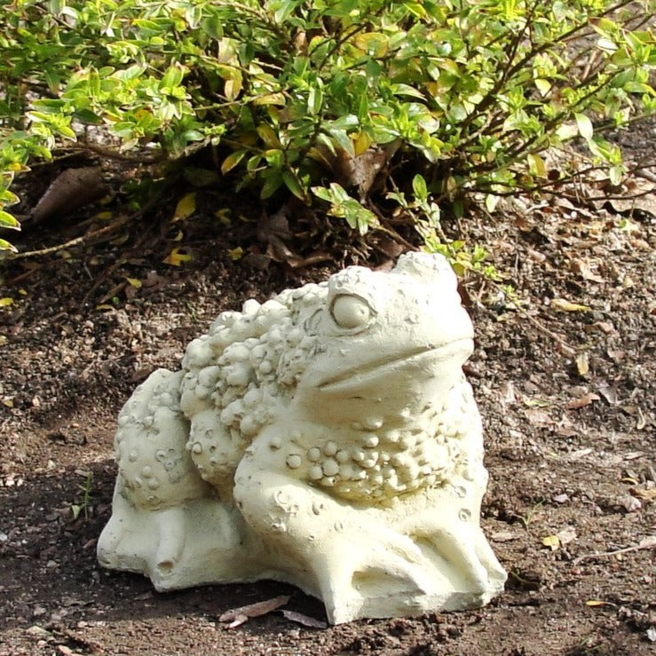 Vintage Warty Toad