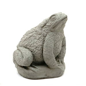 
                
                    Load image into Gallery viewer, Vintage Warty Toad (Large)
                
            