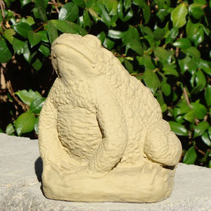 
                
                    Load image into Gallery viewer, Vintage Warty Toad (Large)
                
            