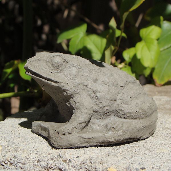 Mini Bullfrog (Set/3)