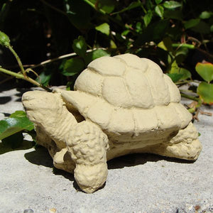 
                
                    Load image into Gallery viewer, Desert Turtle (Small)
                
            