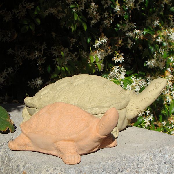 Painted Turtle (Large)