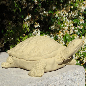 Painted Turtle (Large)