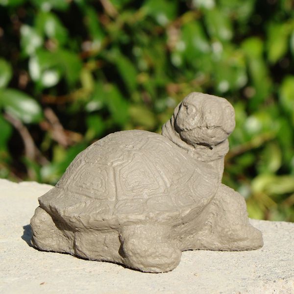 
                
                    Load image into Gallery viewer, Mini Painted Turtle (Set/3)
                
            