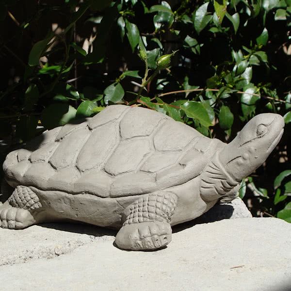 Desert Turtle (Large)