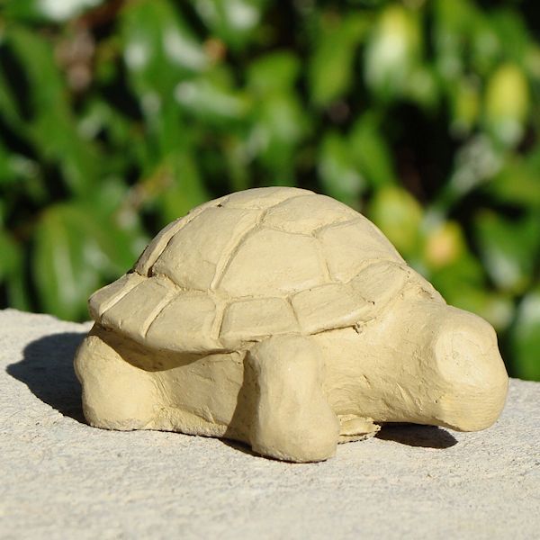 Mini Desert Turtle (Set/3)
