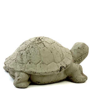 
                
                    Load image into Gallery viewer, Vintage Desert Tortoise #2
                
            