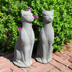 Vintage Sitting Siamese Cat