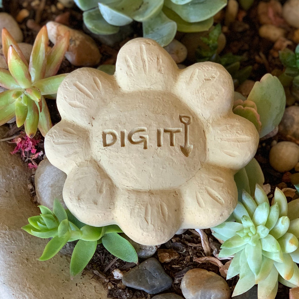Dig It! - Passion Flowers Spirit Stones
