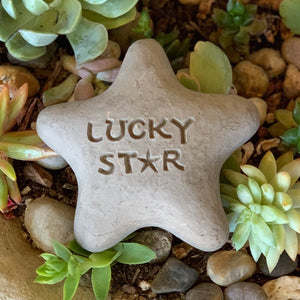 shooting stars succulent Lucky Star