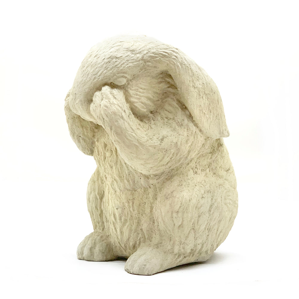 
                
                    Load image into Gallery viewer, Bashful Bunny
                
            