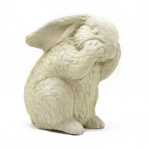 
                
                    Load image into Gallery viewer, Bashful Bunny
                
            