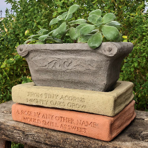 A Rose by any other name would smell as sweet Book Saucer Garden Library Planter