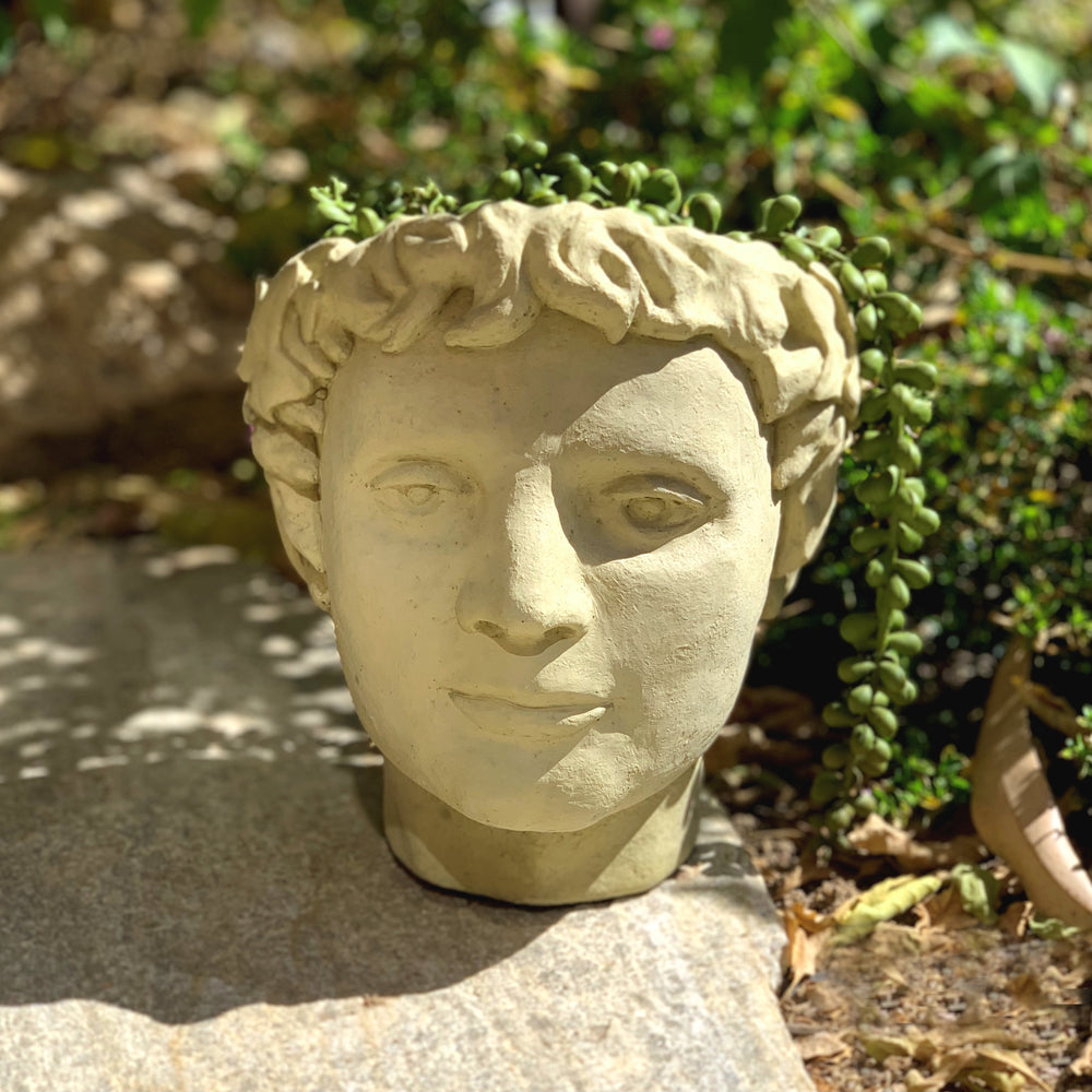 greek head planter pot Roman Head Planter (Small) – Designer Stone Inc